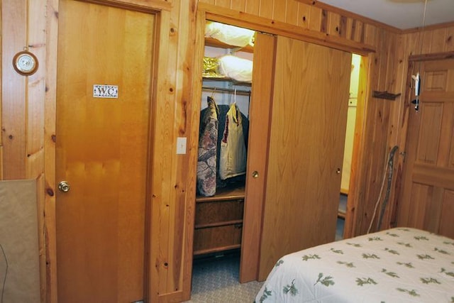 29626 436th Pl, Farm Island Twp, MN 56431 - bedroom featuring wooden walls, carpet, and a closet
