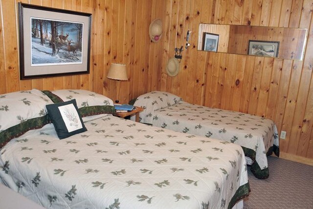29626 436th Pl, Farm Island Twp, MN 56431 - carpeted bedroom featuring wooden walls