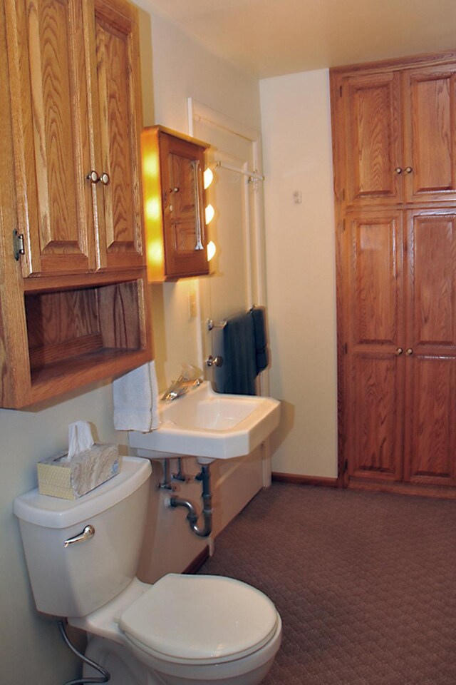29626 436th Pl, Farm Island Twp, MN 56431 - half bathroom featuring toilet and a sink