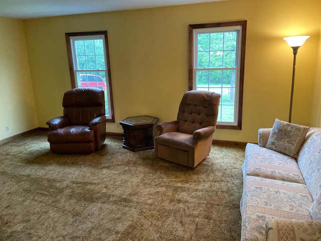 7765 Woodpark Blvd, Woodbury, MN 55125 - carpeted living area featuring plenty of natural light and baseboards