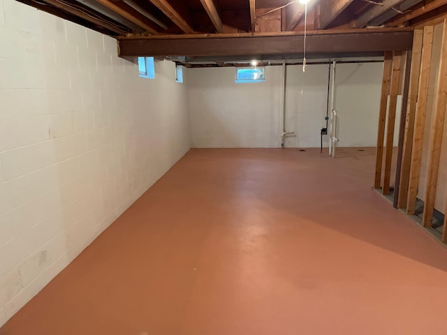 7765 Woodpark Blvd, Woodbury, MN 55125 - view of below grade area