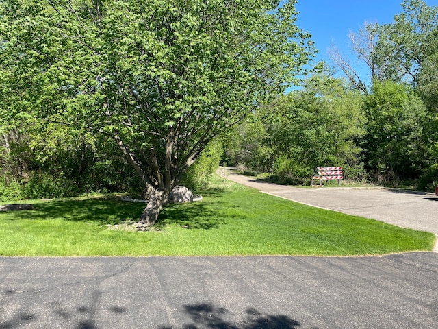 7765 Woodpark Blvd, Woodbury, MN 55125 - view of green lawn