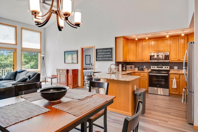 1439 Summit Shores Dr, Burnsville, MN 55306 - kitchen with stainless steel appliances, a peninsula, rail lighting, light wood-style flooring, and open floor plan