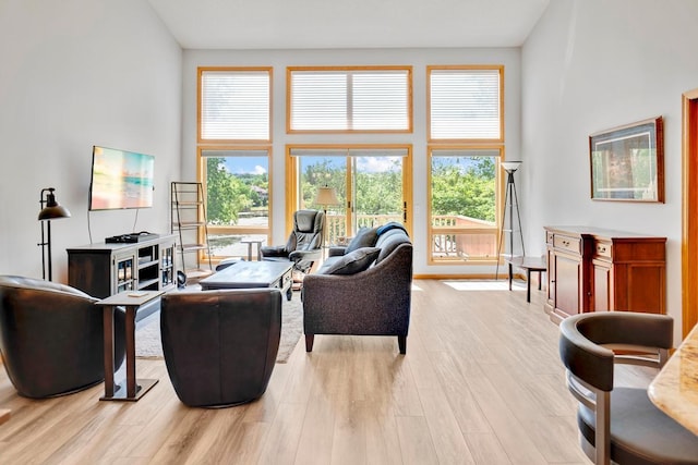 1439 Summit Shores Dr, Burnsville, MN 55306 - living area featuring light wood finished floors and a towering ceiling