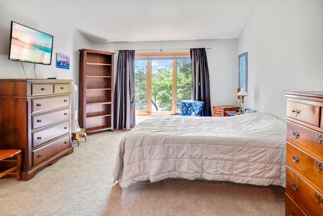 1439 Summit Shores Dr, Burnsville, MN 55306 - bedroom featuring carpet