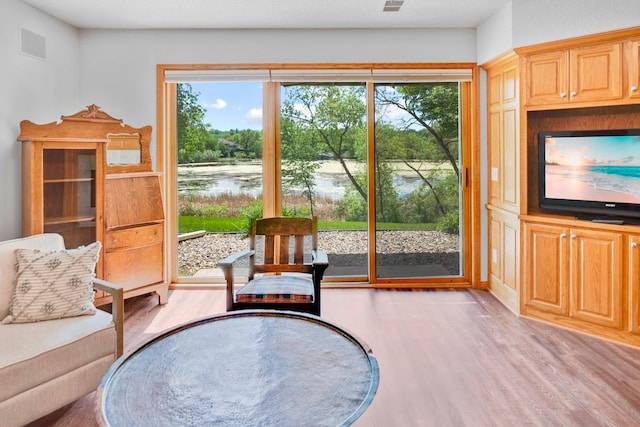 1439 Summit Shores Dr, Burnsville, MN 55306 - living area featuring light wood-type flooring