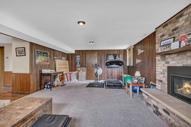 303 Park Ave SE, Pierz, MN 56364 - exercise room with wood walls, a fireplace, a textured ceiling, carpet, and wainscoting