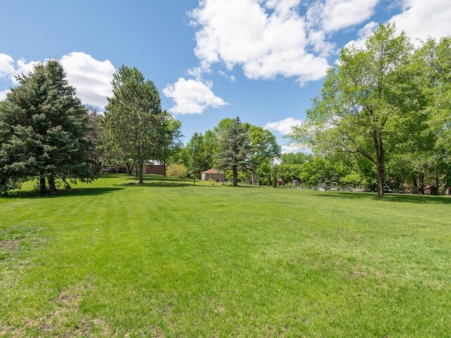 306 Benton St W, Cologne, MN 55322 - view of green lawn