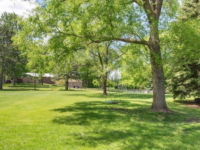 306 Benton St W, Cologne, MN 55322 - view of green lawn