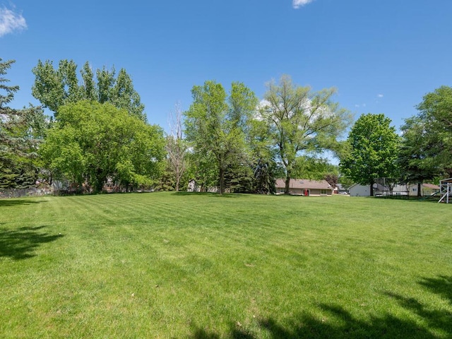 306 Benton St W, Cologne, MN 55322 - view of grassy yard