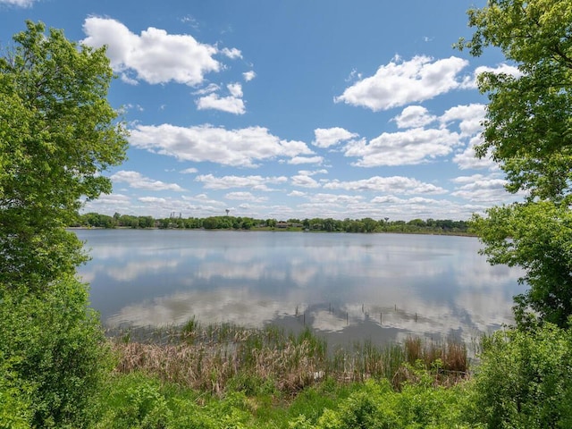 306 Benton St W, Cologne, MN 55322 - water view