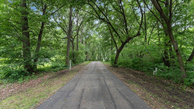 7420 Long Lake Rd, Dovre Twp, MN 56201 - view of street with a wooded view