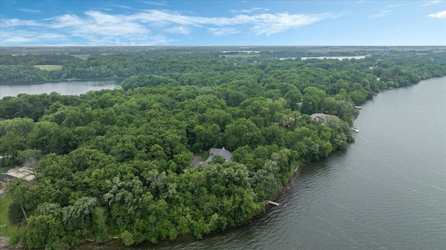 7420 Long Lake Rd, Dovre Twp, MN 56201 - aerial view of a nearby body of water and a forest