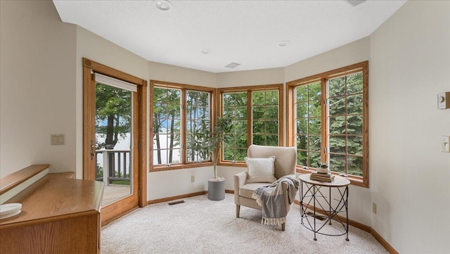 7420 Long Lake Rd, Dovre Twp, MN 56201 - living area with carpet flooring, baseboards, and plenty of natural light