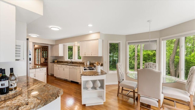 7420 Long Lake Rd, Dovre Twp, MN 56201 - kitchen with open shelves, a sink, healthy amount of natural light, white cabinetry, and recessed lighting