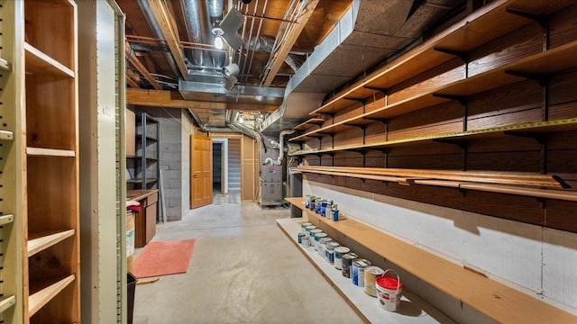7420 Long Lake Rd, Dovre Twp, MN 56201 - view of unfinished basement