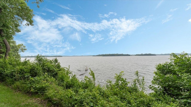7420 Long Lake Rd, Dovre Twp, MN 56201 - water view