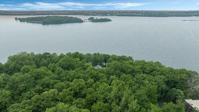 7420 Long Lake Rd, Dovre Twp, MN 56201 - bird's eye view of a nearby body of water and a heavily wooded area