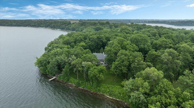 7420 Long Lake Rd, Dovre Twp, MN 56201 - bird's eye view of a large body of water and a forest