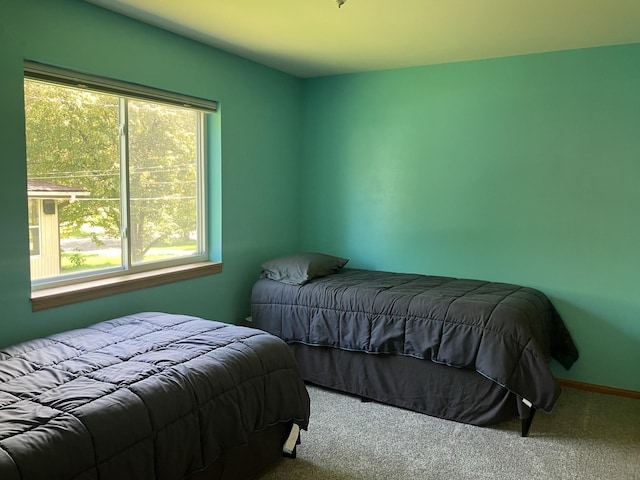 408 Beech Ave, Fergus Falls, MN 56537 - carpeted bedroom featuring multiple windows