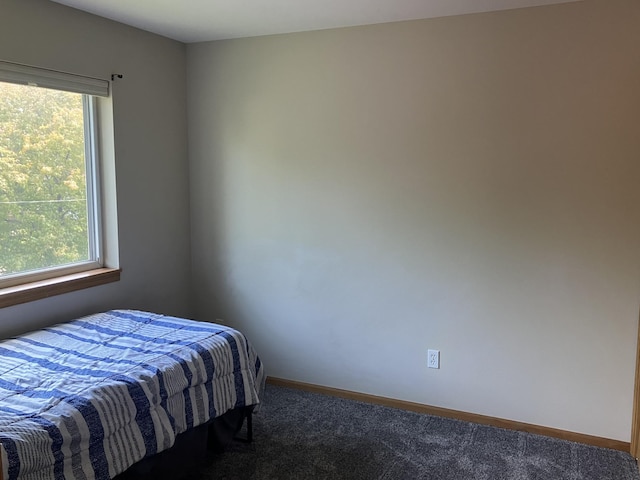 408 Beech Ave, Fergus Falls, MN 56537 - carpeted bedroom with baseboards