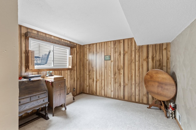 8847 Ironwood Ave S, Cottage Grove, MN 55016 - home office featuring wood walls, a textured ceiling, and light carpet
