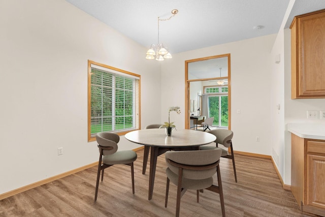 10767 Tamarack Cir NW, Coon Rapids, MN 55433 - dining space with light wood finished floors, plenty of natural light, and a chandelier