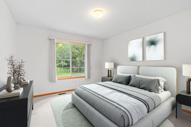 10767 Tamarack Cir NW, Coon Rapids, MN 55433 - bedroom with light carpet and baseboards