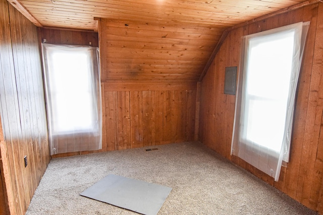 715 8th St E, Thief River Falls, MN 56701 - bonus room with wooden ceiling, carpet flooring, wood walls, electric panel, and vaulted ceiling