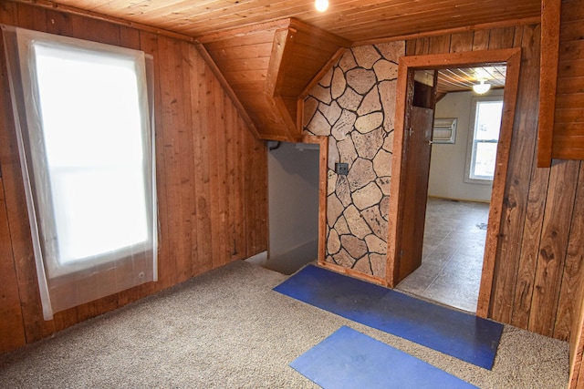 715 8th St E, Thief River Falls, MN 56701 - additional living space with wood ceiling, wooden walls, vaulted ceiling, and carpet flooring