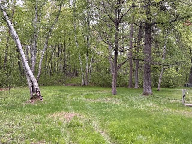 36249 Johnie St, Crosslake, MN 56442 - photo 9