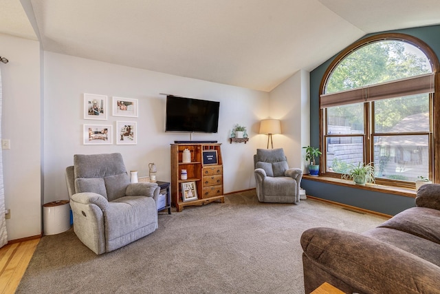 3948 Orchid Ln N, Plymouth, MN 55446 - living area featuring lofted ceiling and baseboards