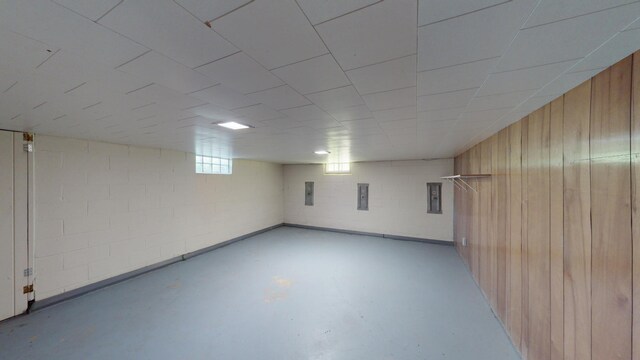 706 19th St, Albert Lea, MN 56007 - below grade area featuring wooden walls and concrete block wall