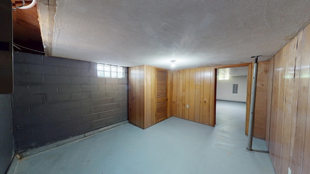 706 19th St, Albert Lea, MN 56007 - below grade area with concrete block wall, a textured ceiling, and wooden walls