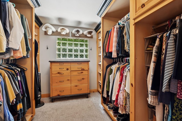 4080 Lotus Dr, Minnetrista, MN 55331 - spacious closet with light colored carpet