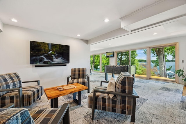 4080 Lotus Dr, Minnetrista, MN 55331 - living room with recessed lighting