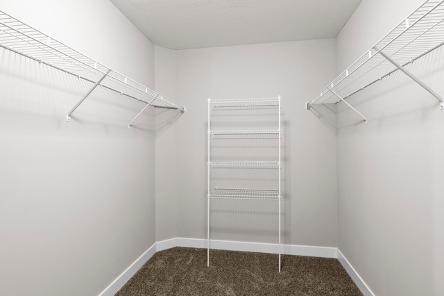 2135 Violet Ln, Faribault, MN 55021 - walk in closet featuring carpet
