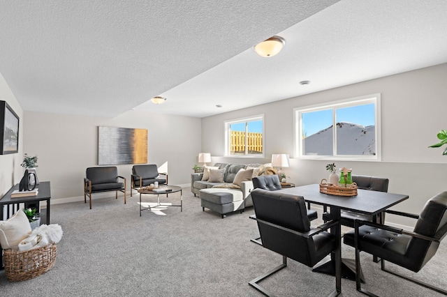 2135 Violet Ln, Faribault, MN 55021 - carpeted living room featuring a textured ceiling and baseboards