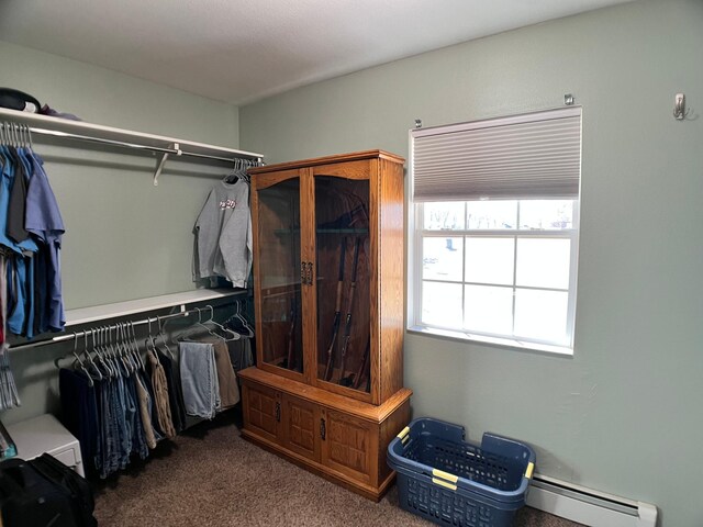 10306 Hemlock St NW, Annandale, MN 55302 - walk in closet with a baseboard heating unit and carpet floors