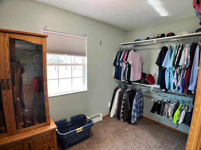 10306 Hemlock St NW, Annandale, MN 55302 - walk in closet with a baseboard heating unit and carpet floors
