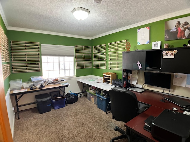 10306 Hemlock St NW, Annandale, MN 55302 - carpeted office with ornamental molding, a textured ceiling, and a baseboard radiator