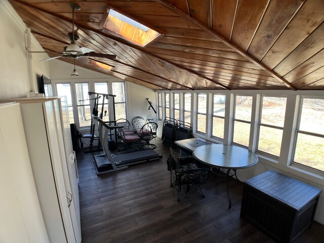 10306 Hemlock St NW, Annandale, MN 55302 - sunroom featuring vaulted ceiling and a skylight