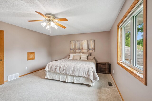 200 Wilson St, Waverly, MN 55390 - photo 17