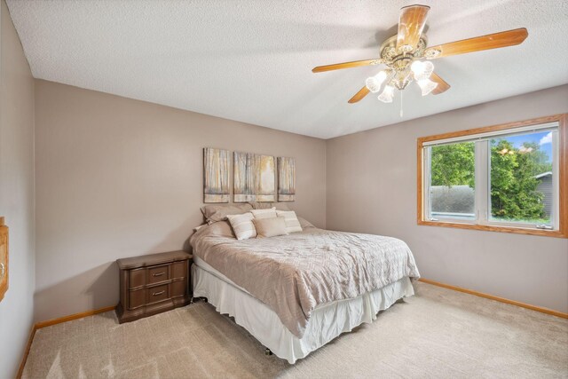200 Wilson St, Waverly, MN 55390 - photo 18