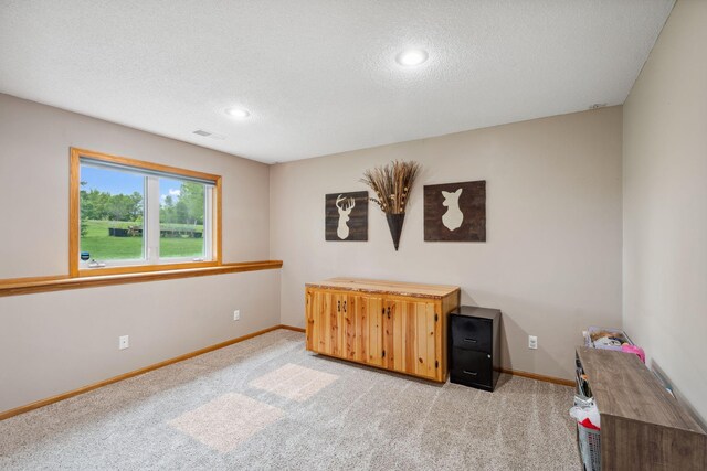 200 Wilson St, Waverly, MN 55390 - photo 28