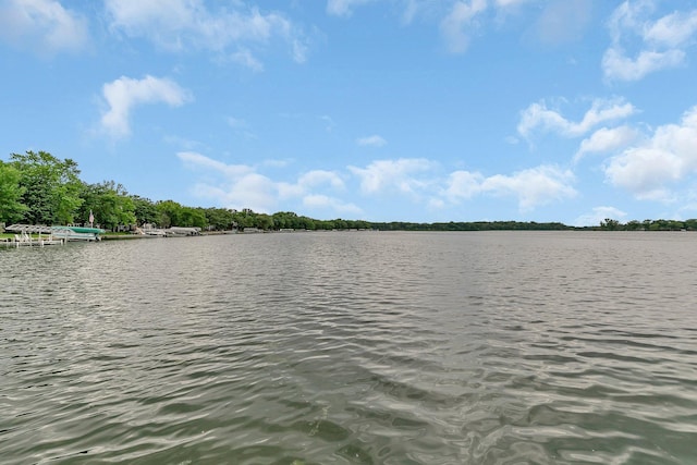 5386 165th St NE, Atwater, MN 56209 - water view