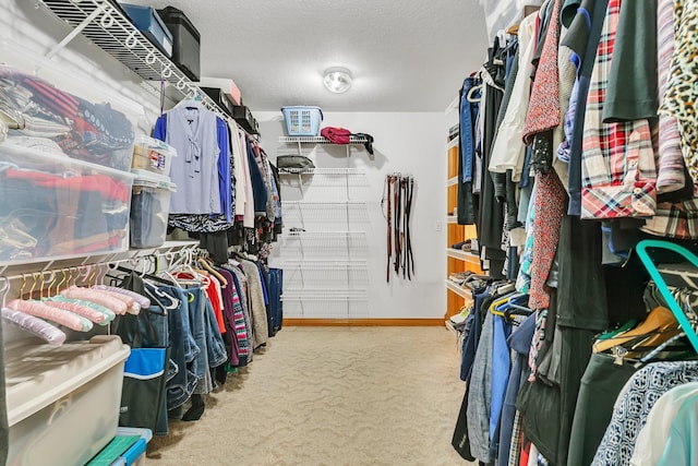 5386 165th St NE, Atwater, MN 56209 - spacious closet featuring carpet flooring