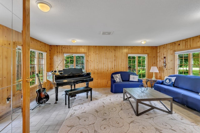 5386 165th St NE, Atwater, MN 56209 - living area with plenty of natural light and wood walls