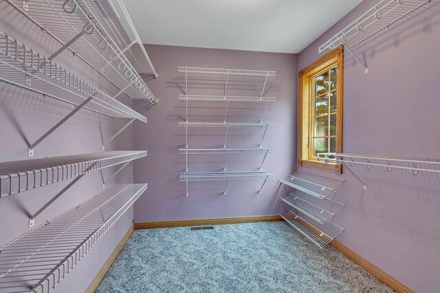5386 165th St NE, Atwater, MN 56209 - spacious closet featuring carpet