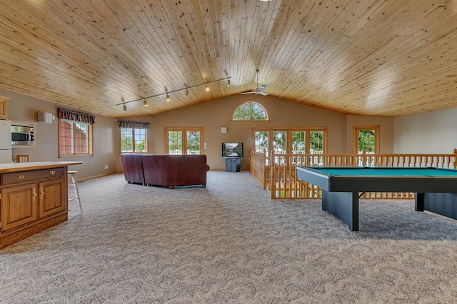 5386 165th St NE, Atwater, MN 56209 - recreation room with track lighting, lofted ceiling, carpet floors, wood ceiling, and plenty of natural light